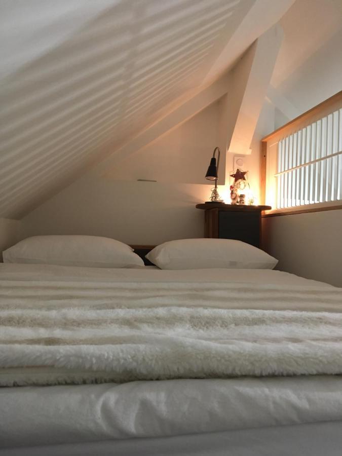 Logement Climatise Erdre Riviere La Chapelle-Sur-Erdre Exterior foto