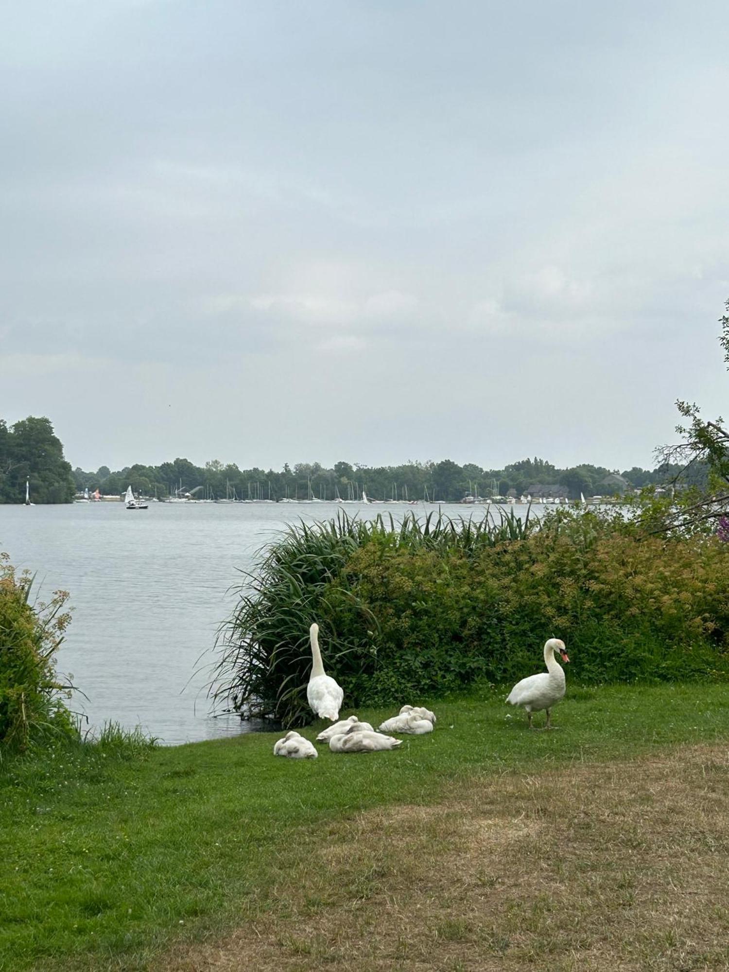 Logement Climatise Erdre Riviere La Chapelle-Sur-Erdre Exterior foto